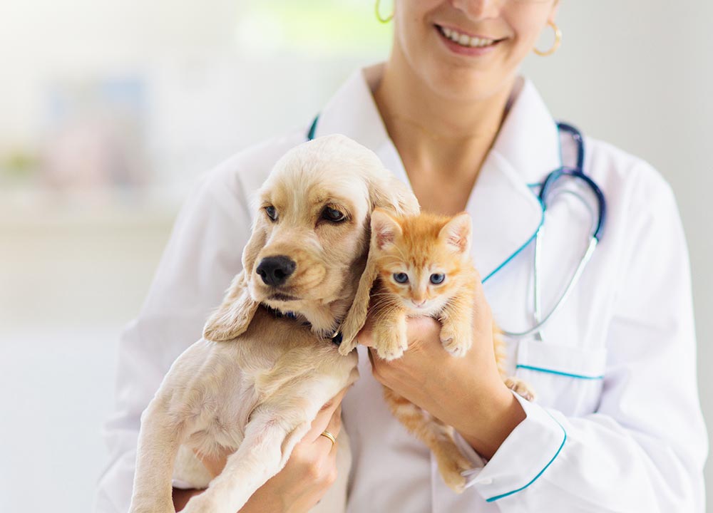 Pets and Pet Care