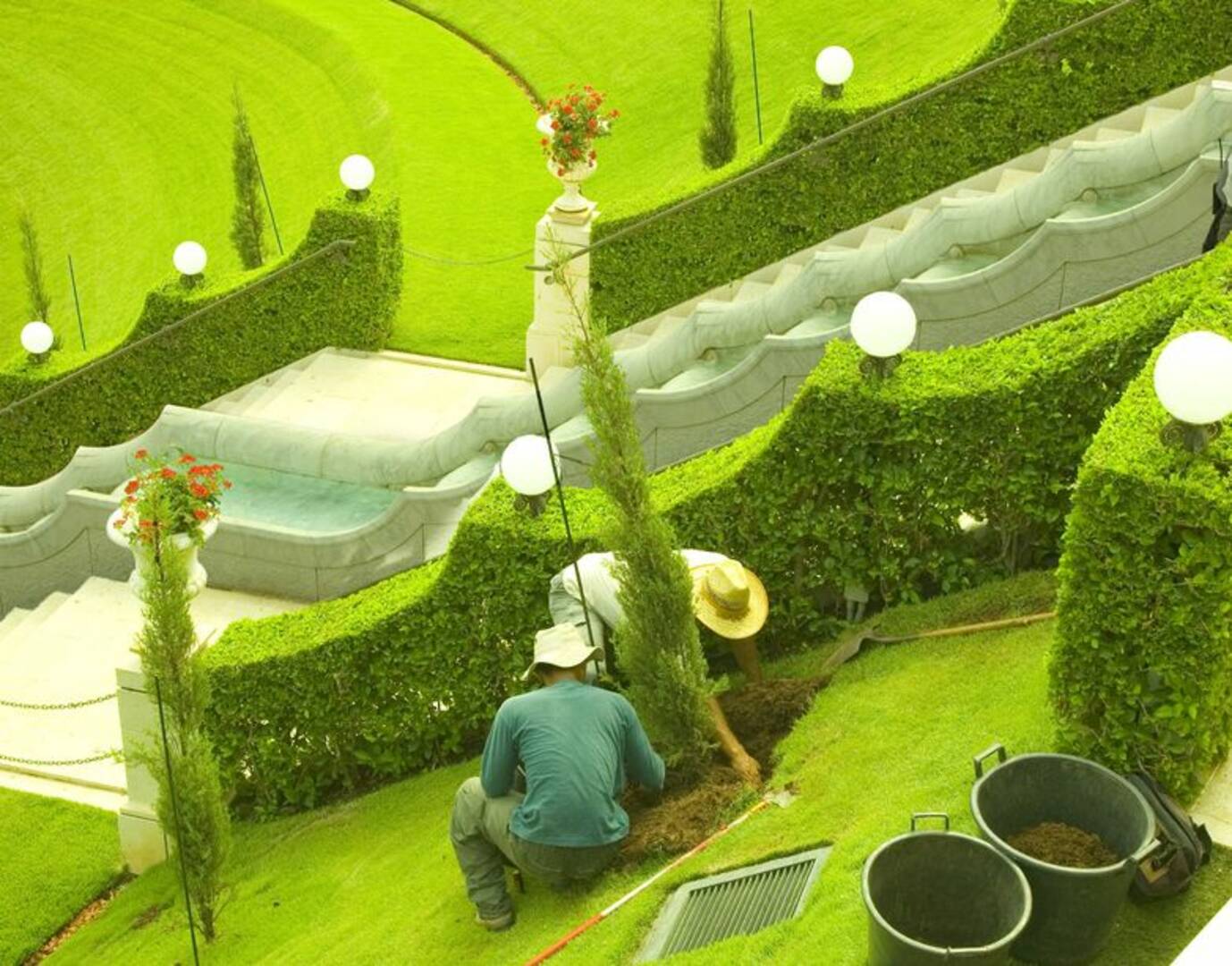 Beautiful Country Tree Service