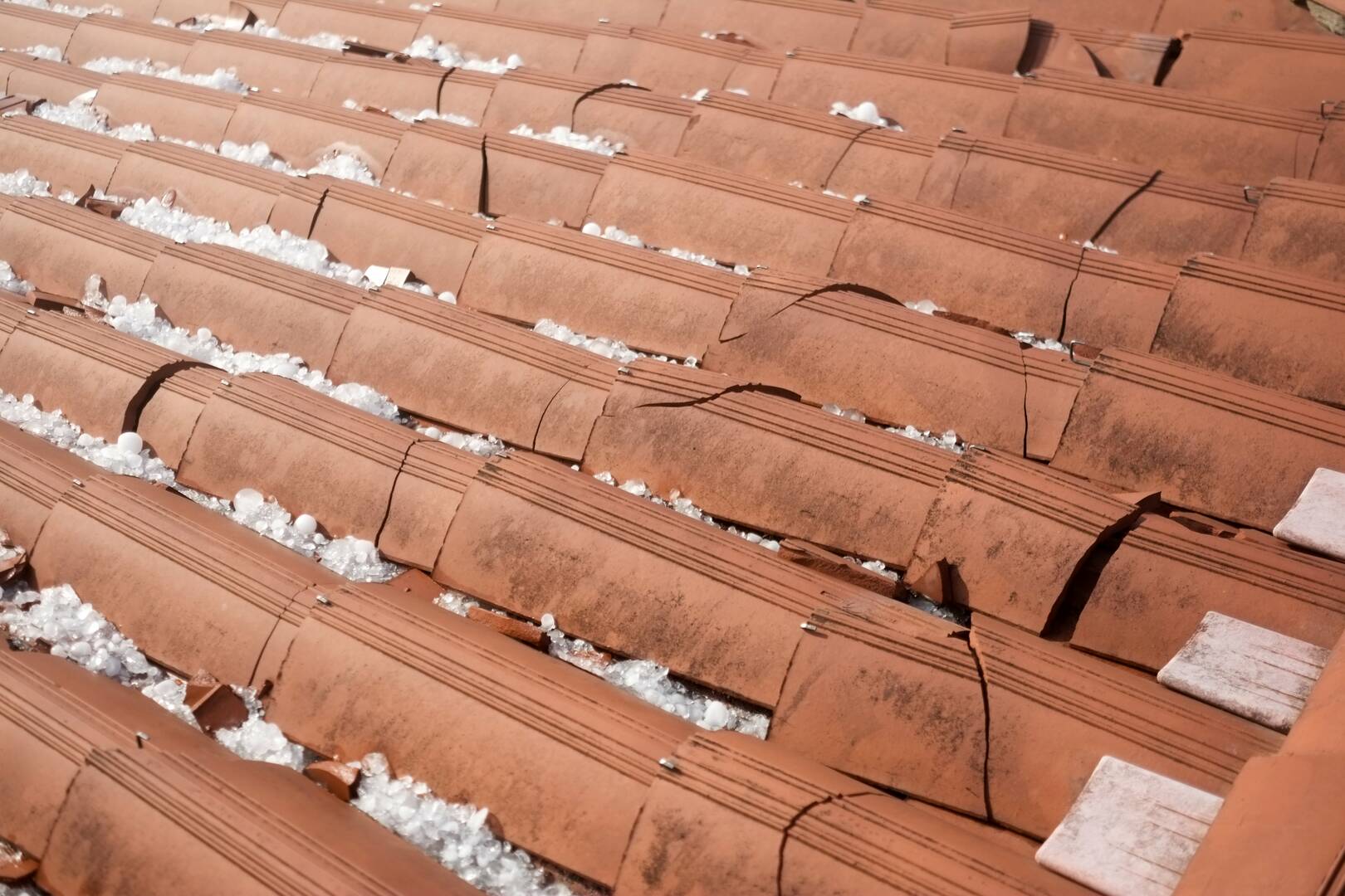 Roof Evolution